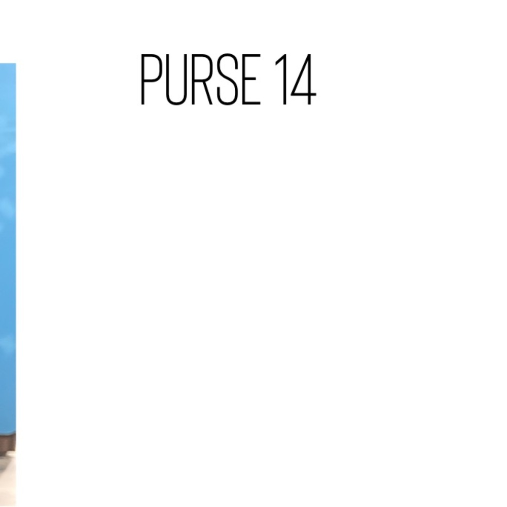 Purse 14